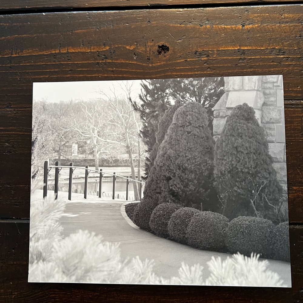 Mt. Washington Cemetery Kansas City, Mo (Black and White Photo)